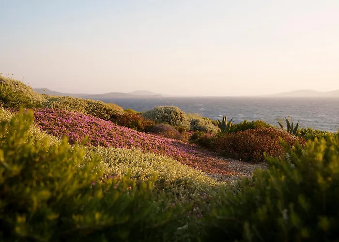 Amarosa - Mg Mykonos *