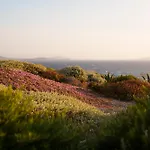 Amarosa - Mg Mykonos *