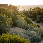 Villa Amarosa - Mg Mykonos *