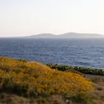 Amarosa - Mg Mykonos Mykonos Town