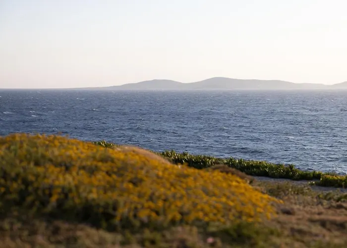 Amarosa - Mg Mykonos Mykonos Town