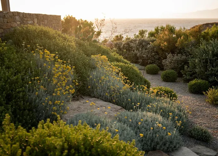 Willa Amarosa - Mg Mykonos *